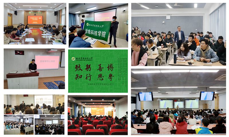 d4e7ccc051c24abe8effab9243442e50.jpg 222.jpg