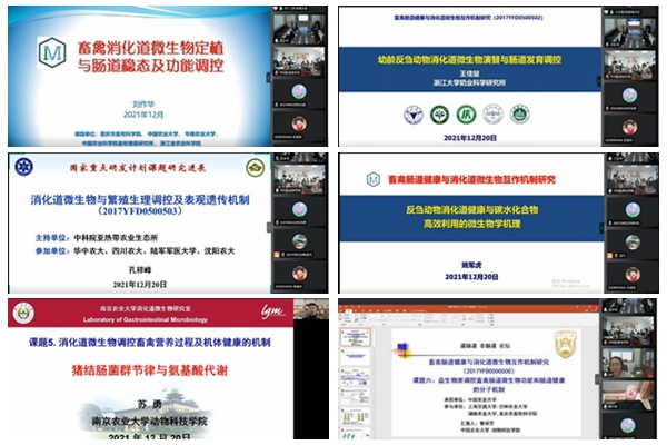 e2bde4aec051407bbdb1c92b6e4f2895.jpg NeoImage_副本_副本.jpg