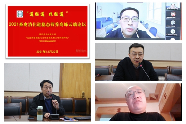 e7f1b8a53ea4405c9fece358d73a7b8a.jpg NeoImage_副本.jpg