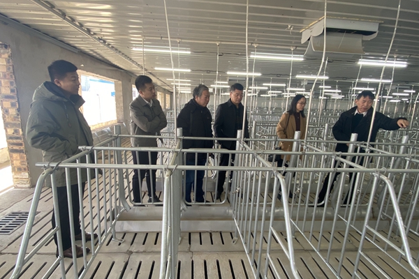 f408f8dfe1d042a59fdbdd15e995edc8.jpg 参观新建猪场.jpg