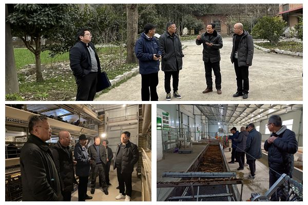 fdb42f301b7844d1862330ef29693f73.jpg NeoImage_副本_副本.jpg