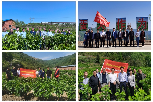 40f7a3b854fc494abd04a4fa977eee75.jpg 01工作对接会_副本_副本.jpg