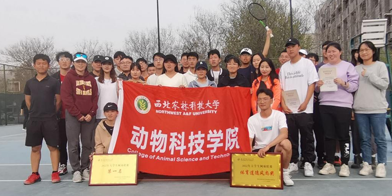 青春无畏 奋进拼搏 澳门六合彩高手
网球队在“中行杯”大学生网球团体赛中夺冠